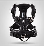 Adjustable Vest-Style Dog Harness and Leash Set
