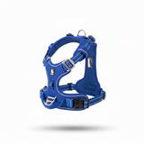 Adjustable Vest-Style Dog Harness and Leash Set
