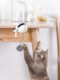 Automatic Lifting Cat Toy – Interactive Smart Teaser Ball for Indoor Cats