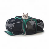 Portable Space Capsule Pet Backpack – Breathable Travel Carrier for Dogs & Cats
