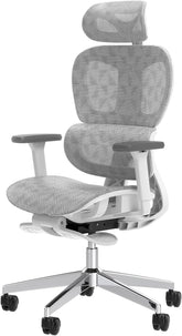 Ergo3D Ergonomic Office Chair �� High Back Mesh Desk Chair with 3D Adjustable Armrests, Wheels, for Home and Office (Black)