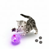 Interactive Glowing LED Cat & Dog Toy Ball – Transparent Flash Ball for Training
