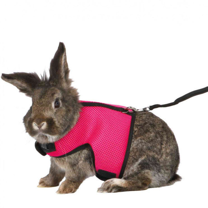 Small Pet Harness and Leash Set – Adjustable Vest for Bunnies & Guinea Pigs
