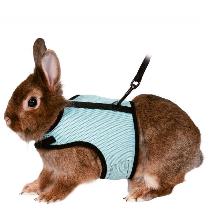 Small Pet Harness and Leash Set – Adjustable Vest for Bunnies & Guinea Pigs