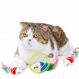 Cat Self-Hi Toy Cage Mouse Painted Lacquer Wire Nibbling Toy