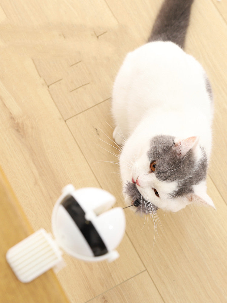 Automatic Lifting Cat Toy – Interactive Smart Teaser Ball for Indoor Cats