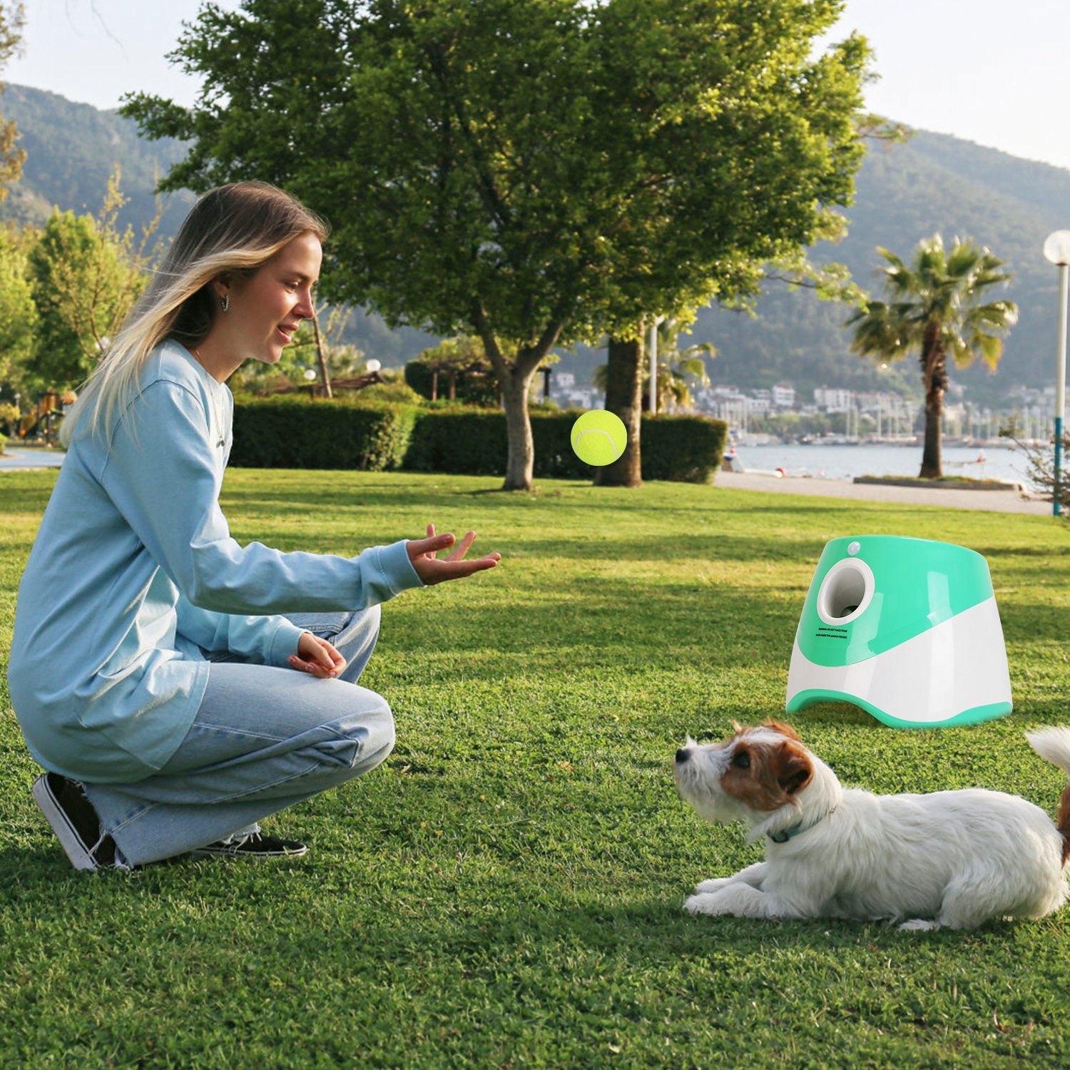 Smart Automatic Tennis Ball Launcher for Dogs – Fun Interactive Exercise Toy with 6 Balls
