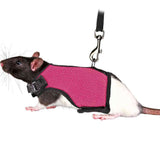 Small Pet Harness and Leash Set – Adjustable Vest for Bunnies & Guinea Pigs