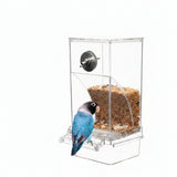 Transparent Automatic Plug-in Bird Food Container
