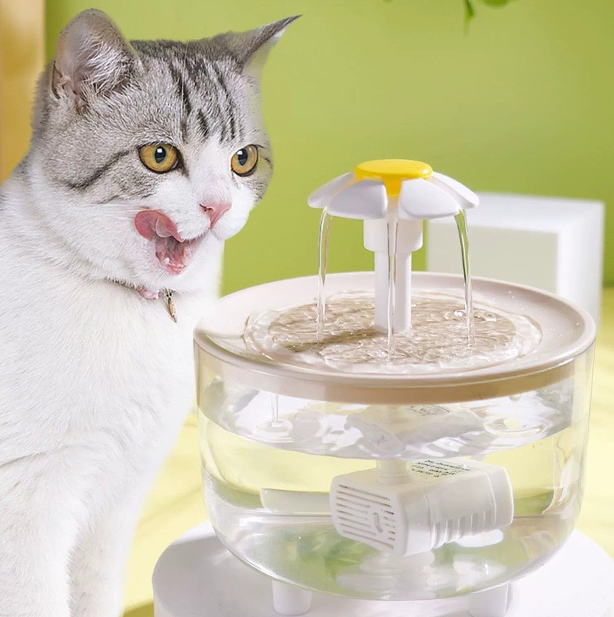 Automatic Cat Water Fountain – Temperature Controlled Circulation Dispenser