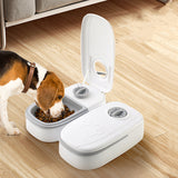 2-in-1 Automatic Pet Feeder & Water Dispenser – Smart Feeding Station
